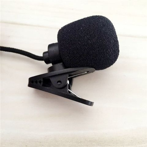 Portable Mini Recording Microphone