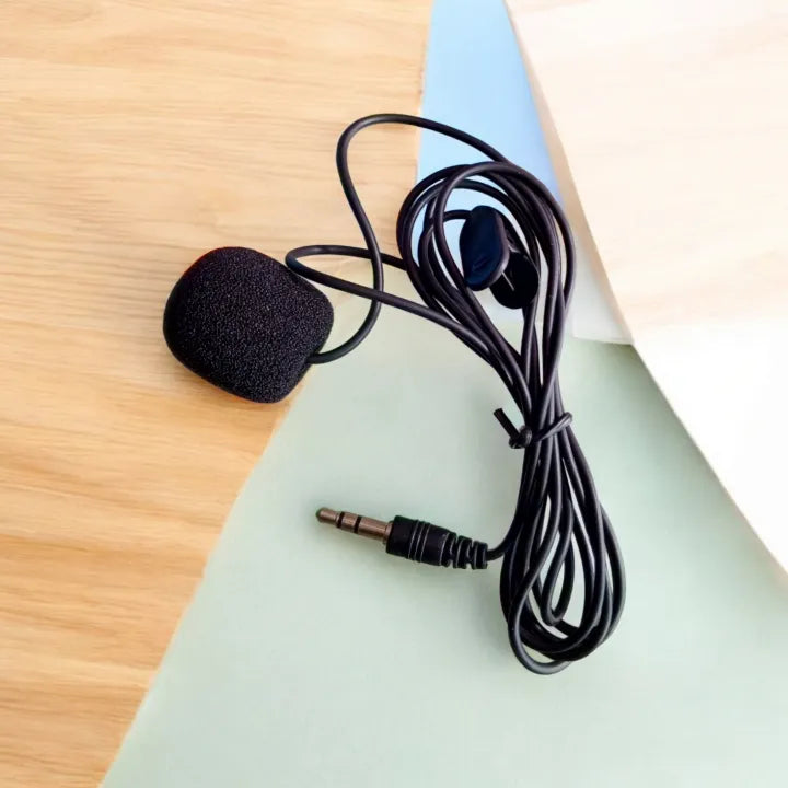 Portable Mini Recording Microphone